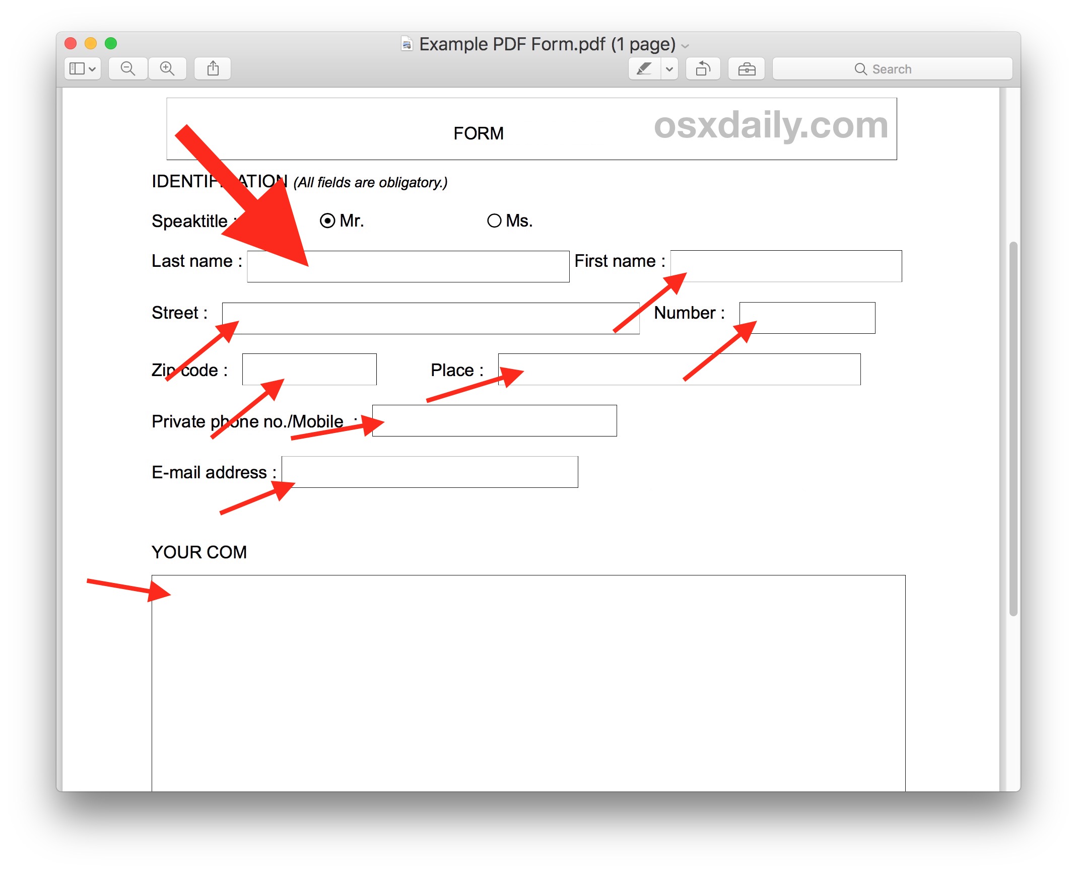 How To Download Filled Pdf On Mac
