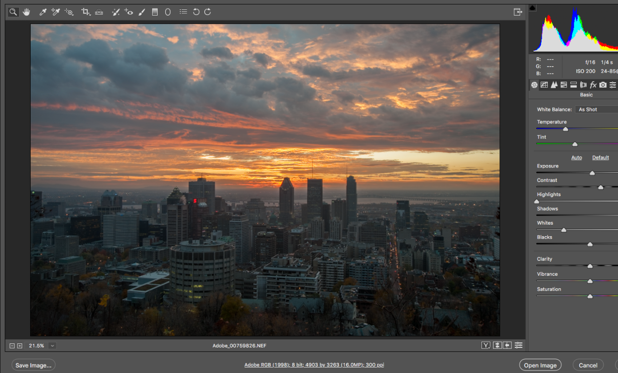 Adobe Camera Raw 6.2 Download Mac